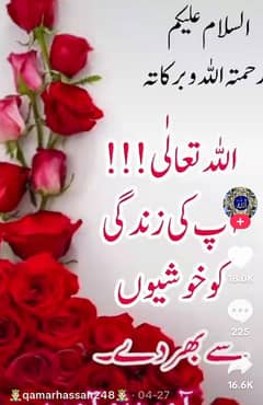 AS SALAM O ALAIKUM WHTSAP number 03022556710