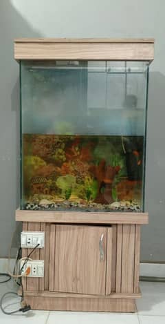 FISH AQUARIUM (FOR SALE)