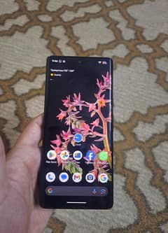 Google Pixel 6 Pro (12.128 )