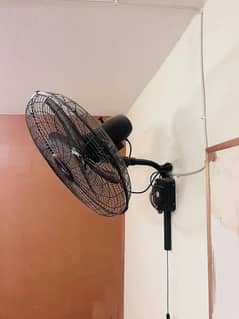 Royal Bracket Fan