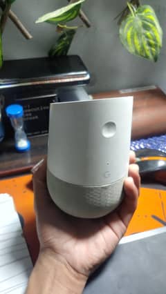 Google Home Assistant