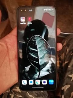 oneplus nord 5g (12/256 approved)