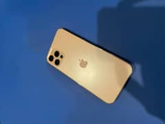 Iphone 12 pro nonpta