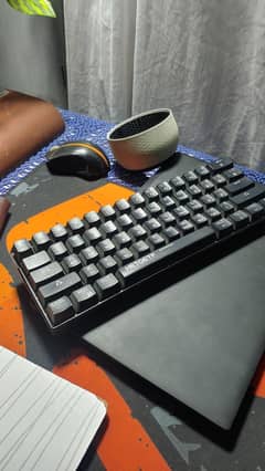 Wireless/Wired Mechanical Keyboard
