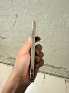 Iphone 12 pro ( 128gb )