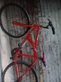 Bicycle