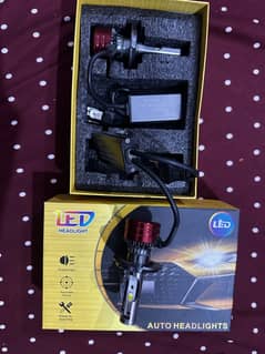 White LED bulbs.