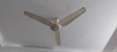 SK CEILING FANS (QUANTITY 6)