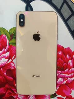 Xsmax pta proved dule sim 256 gb exchange possible