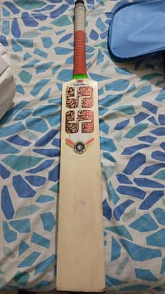 Cricket
