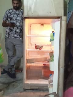 Fridge