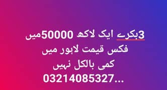 بکرہ