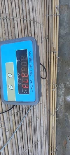 Qurbani ka janwer 373kg