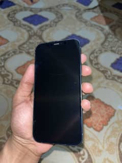 iPhone 12 jv