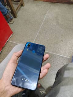 Vivo