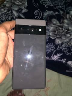 google pixel 6 pro dual pta approved
