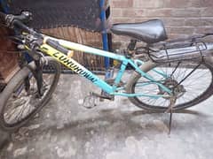 mountain bike