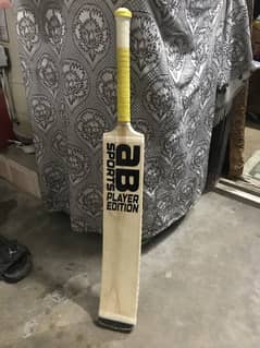 Cricket bat