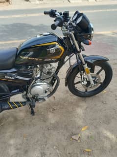 Yamaha YBZ Dx Model 2025 03016553047