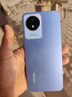 vivo