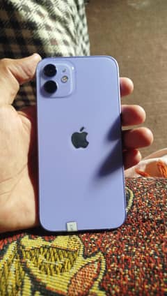 I phone 12  non PTA