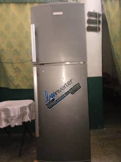 Elactrolax large size fridge