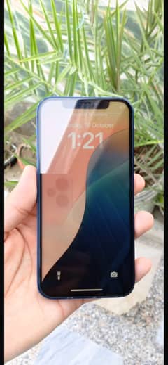 Iphone 12 non pta jv