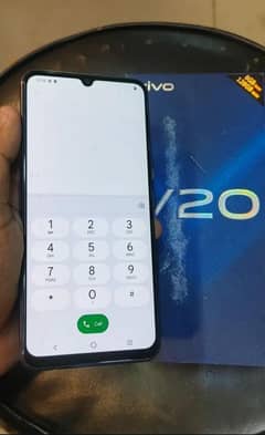 vivo