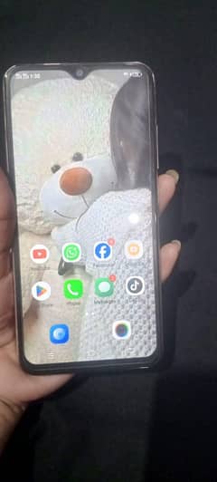 vivo