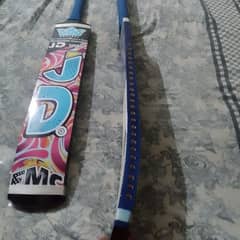 cricket lovers