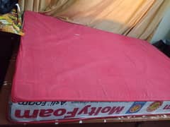 molti foam ka gadda