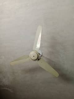 Best Ceiling Fan for Sale
