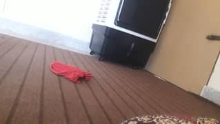 Air room cooler SK-4500