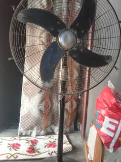 stand