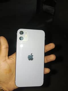 IPhone 11 purple colour