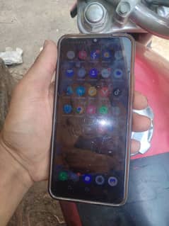 vivo