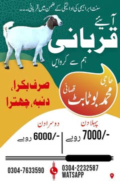 بکرا اور دنبہ کے لیے قصائی