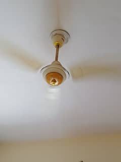 Sealing Fan