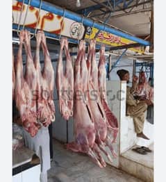 professional Goat Butcher