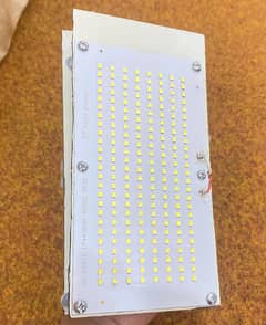 LED light fox