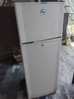 PEL fridge