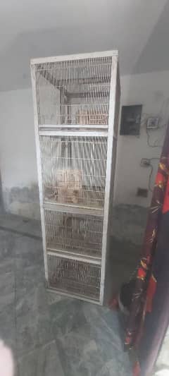 Cage for Birds