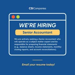 Professional senior accountant and assistant accountant