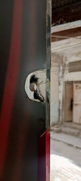 glass door / glass partition/ glass gate / office glass gate 3