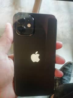 Just Iphone 12