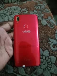 vivo