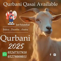 Qurbani k liy professional Kasaai mojood Hain. Booking start from now.