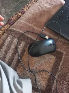 number 03251197552 mouse free