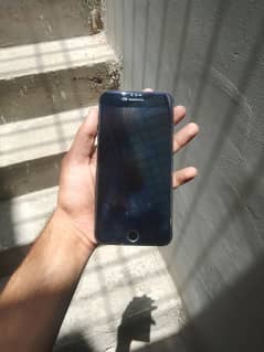 7 plus