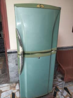 PEL Refrigerator